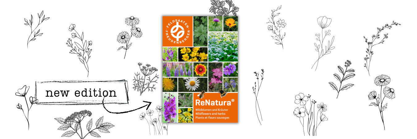Header_News_ReNatura-Katalog_2026_ENG.png