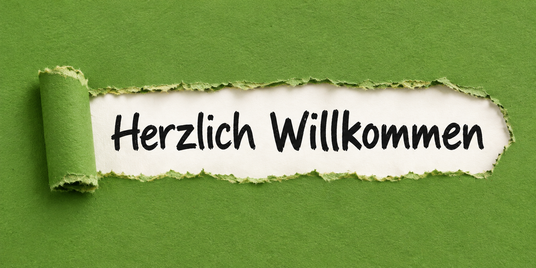 Willkommen.png Willkommen.png