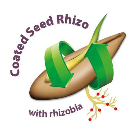 Logo_Coated_Seed_Rhizo.jpg