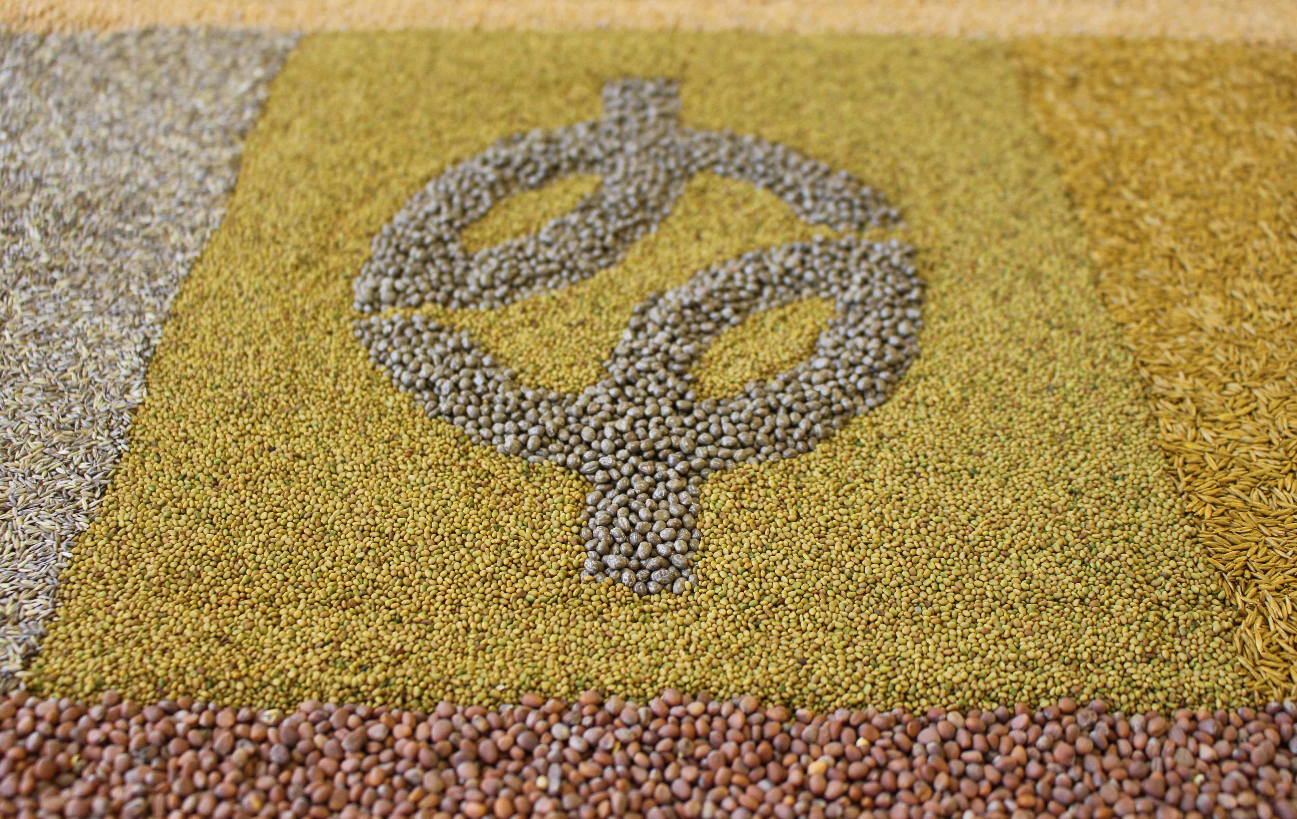 Mantelsaat_Saatgut__113_.jpg Mantelsaat_Saatgut__113_.jpg